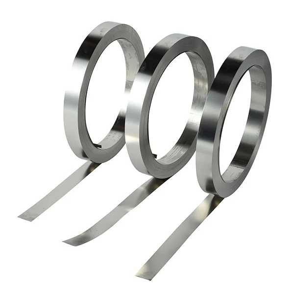Sus 310s mataas na temperatura haluang metal na strip para sa mga heat exchangers